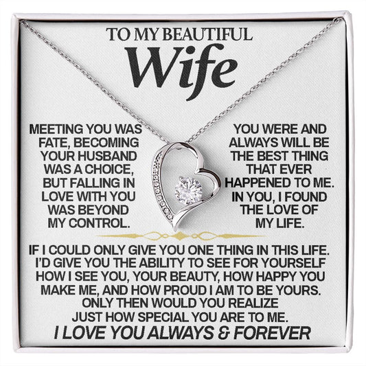 To My Beautiful Wife | Meeting You Was Fate | Forever Love Necklace